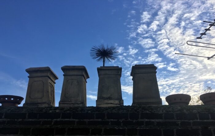 Brush in chimney