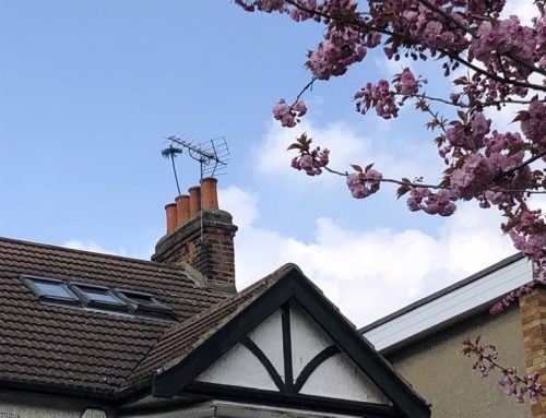 Why Is Spring the Best Time to Get Your Chimney Swept?