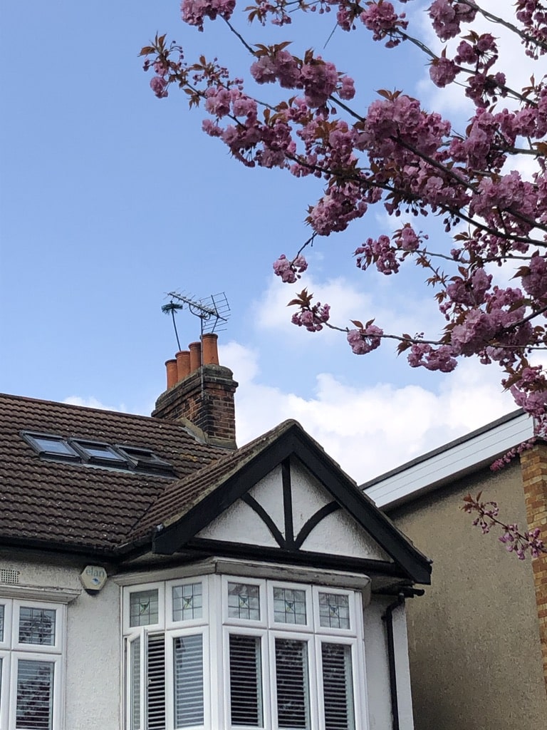 spring chimney sweep | SweepSmart Spring sweep