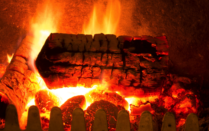 Wood fire